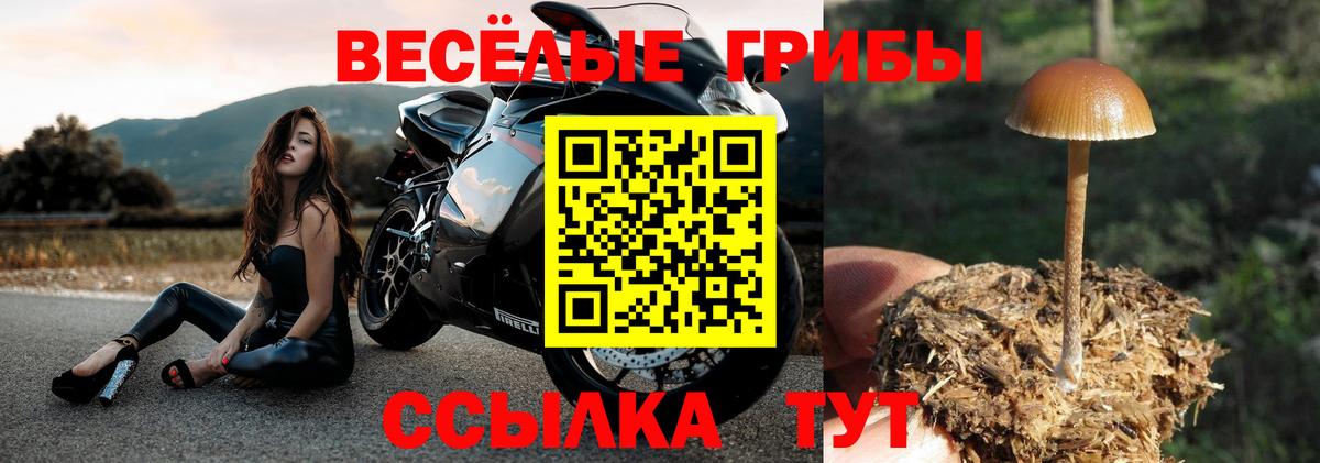 Первоуральск  Галлюциногенные грибы Magic Shrooms  Вход с VPN 